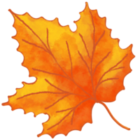 herfst blad. vallen blad illustratie clip art. png