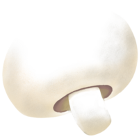 mignonne champignon illustration. png