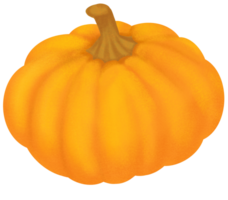 citrouille tomber l'automne clipart illustration. png