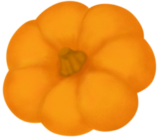 abóbora outono outono clipart ilustração. png