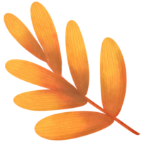 herfst blad. vallen blad illustratie clip art. png