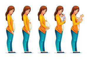 Pregnancy stages. Pregnant woman and newborn baby. Changes in woman body during pregnancy. Vector cartoon illustration