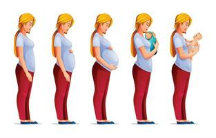 Pregnancy stages. Changes in woman body during pregnancy. Pregnant woman and newborn baby. Vector cartoon illustration