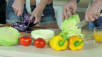 Sliced cabbages together, a fun kitchen task video