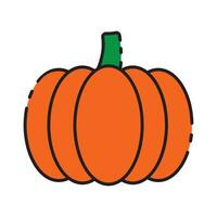 thanksgiving pumpkin icon vector