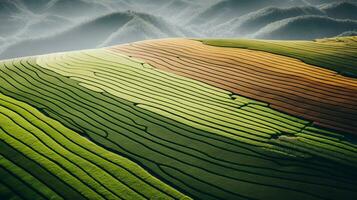 AI generated Green tea plantation, top view texture photo