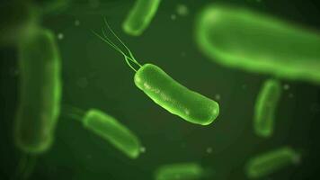 schließen oben von mikroskopisch Bakterien , 3d Illustration video