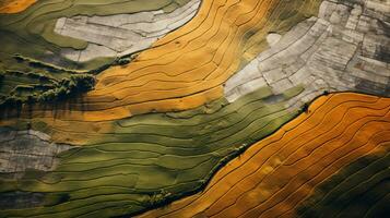 AI generated Green tea plantation, top view texture photo