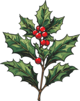 Christmas holly leaf AI Generate png