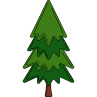 épicéa pin arbre illustration png transparent Contexte