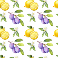 Seamless watercolor fruit pattern with lemons, plums and flowers. Hand painted botanical pattern with a lemon and plums. png