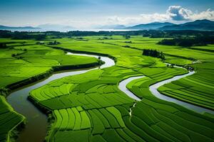 lozano verde arroz campos zumbido vista. sereno campo paisaje fotografía. ai generativo foto