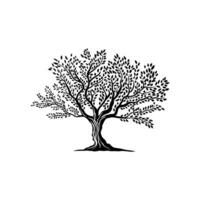 Olive tree isolated silhouette symbol or emblem vector