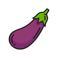 Eggplant veggie food, raw aubergine thin line icon vector