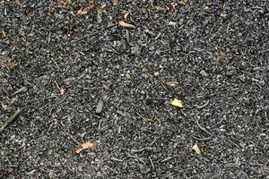 a close up of a black mulch with some leaves photo