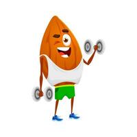 Cartoon almond nut exercising with dumbbells vector