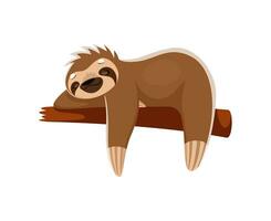 Cartoon sloth peacefully slumbers on tree branch vector