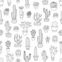 Outline cactus succulents seamless pattern vector