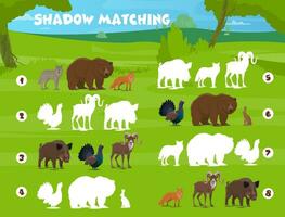 Shadow matching game, forest hunting animals birds vector