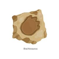 Ancient brachiosaurus dinosaur footprint fossil vector