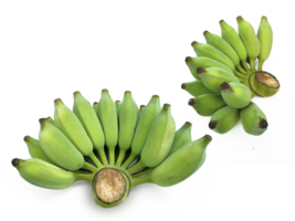 frisch Grün roh Banane, transparent Hintergrund png