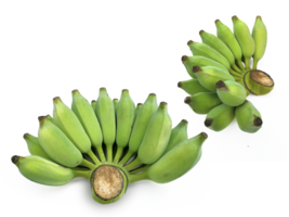 Fresh green raw banana, transparent background png