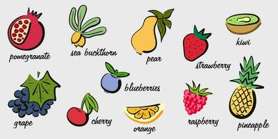 Hand-drawn retro fruits and berries. Farm eco products. Culinary banner. Educational poster with the names of fruits and berries vector