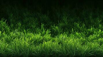 AI generated green season scenery grass aerial ai generated photo