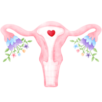 mestruale, periodo, femmina, acquerello, mestruazione png