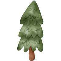 árbol, acuarela árbol png