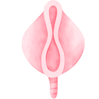 Menstrual, period, Female, watercolor, Menstruation png