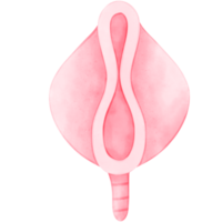 menstruations, period, kvinna, vattenfärg, menstruation png