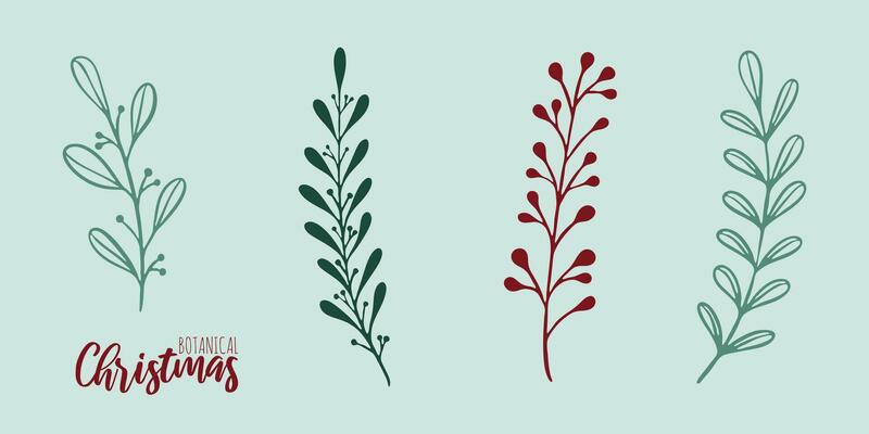 Set of hand drawn xmas branches vector winter floral element. Christmas botanical illustration for presentation, banner, cover, web, flyer, card, sale, poster, slide and social media.