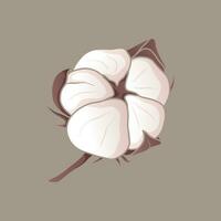 Vector isolated twig with soft cotton ball or bud.