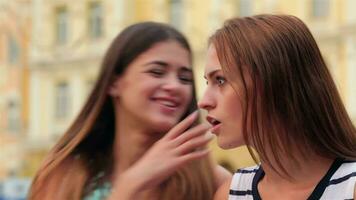 les filles chuchotement sur une banc video