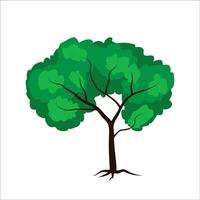 Tree drawign stock vector illustration