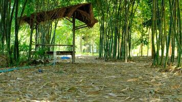 mooi groen bamboe tuin landschap Daar is een houten paviljoen voor ontspanning. video