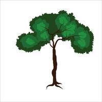 Tree drawign stock vector illustration