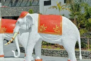 elephant statues in the garden of the hotel photo