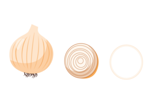 Onion. set in cartoon style. Isolated vegetables. png