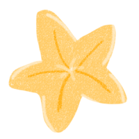 crayon Orange étoile de mer png