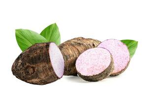 Taro root and slice with leaf isolated on white background. photo