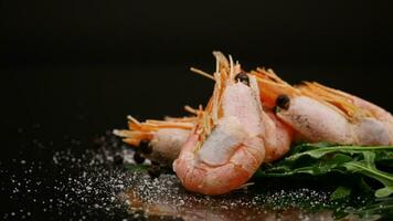 boiled shrimp with spices on black background video