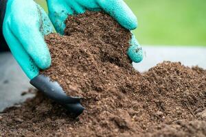 Hand holding peat moss organic matter improve soil for agriculture organic plant growing, ecology concept. photo