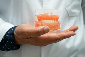 Denture, dentist holding dental teeth model to study and treat in hospital. photo