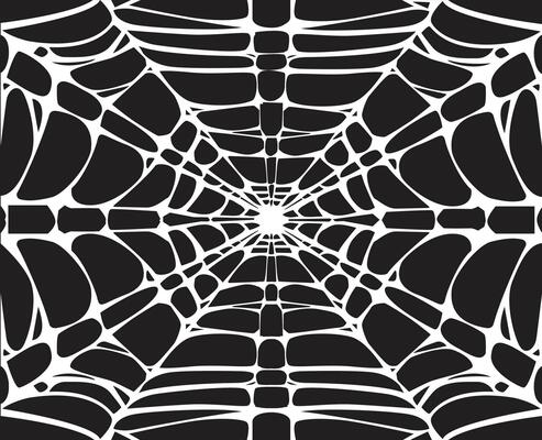 spider web on the wall in two colors