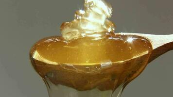 tjock, färsk honung häller på en trä- sked i ljus solljus. makro. video