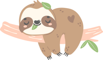 Cute Baby Sloth Hanging and sleeping cartoon nursery illustration png