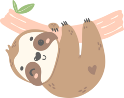 carino bambino bradipo sospeso cartone animato asilo illustrazione png