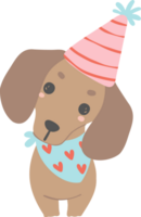 Birthday Dog, Cute Dachshund Sausage Dog with balloons , Festive and Playful Pet in Colorful Party Theme png